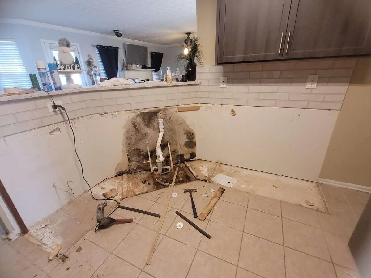 Mold behind wall with plumbing during Flood Damage Cleanup in Virginia