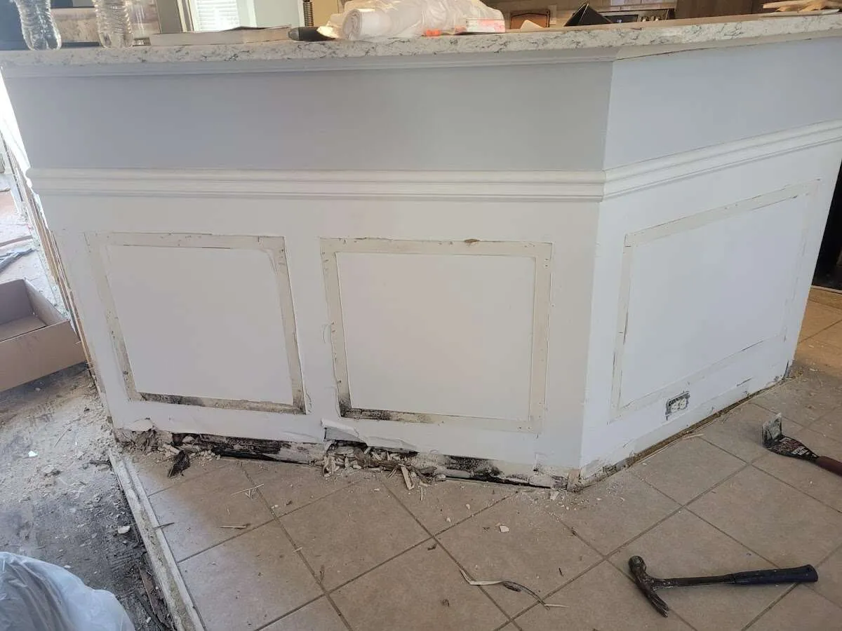 Water damage and mold on kitchen during Burst Pipe Cleanup in Virginia